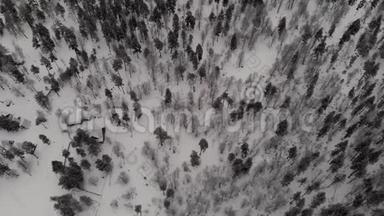 山林树木白雪灰色冬季俄罗斯阿尔克赫赫俯视图
